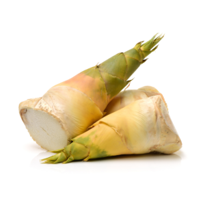 Bamboo Shoots