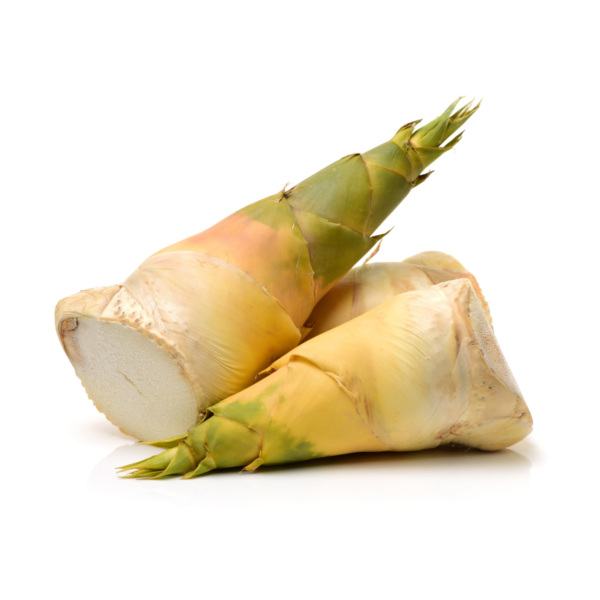 Bamboo Shoots