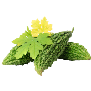 Bitter Melon