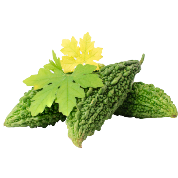 Bitter Melon