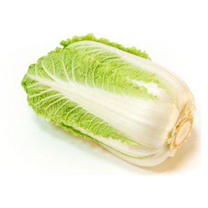 Napa Cabbage