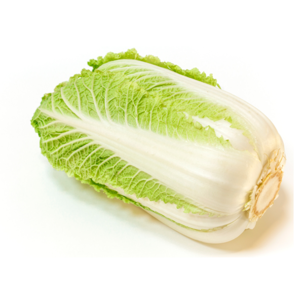 Napa Cabbage
